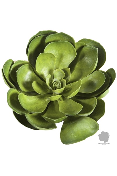 Roberto Rossi Planta artificiala suculenta D14 cm