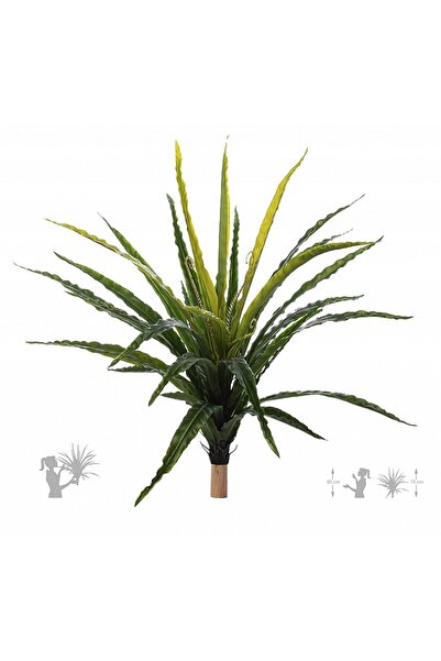 Roberto Rossi Feriga artificiala Asplenium osaka L verde
