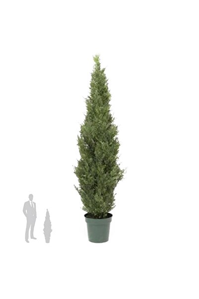 Roberto Rossi Planta artificiala Juniperus 120 cm cu protectie UV