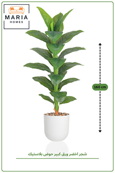 MARIA HOMES 160CM Artificial Large Leaf Green Plant in White Pot | Tall Indoo...