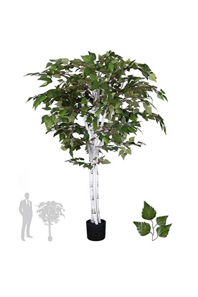 Roberto Rossi Copac artificial H150cm Mesteacan alb cu 1200 frunze