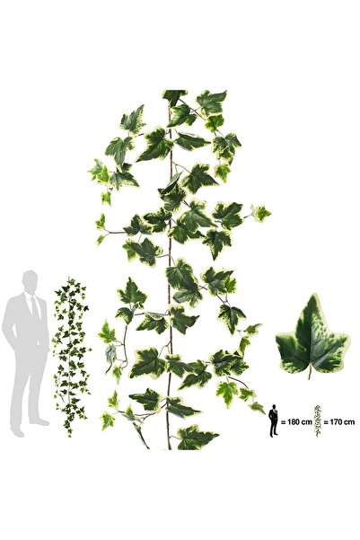 Roberto Rossi Iedera artificiala H170cm cu 110 frunze verde cu galben