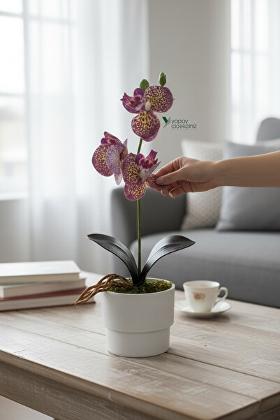 YAPAY ÇİÇEKÇİNİZ ΜΟΝΤΕΡΝΗ ΛΕΥΚΗ ΤΕΧΝΗΤΗ ΟΡΧΙΔΕΑ 35 ΕΚ. ΣΕ ΓΛΑΣΤΡΑ ΜΕ ΥΓΡΗ ΥΦΗ