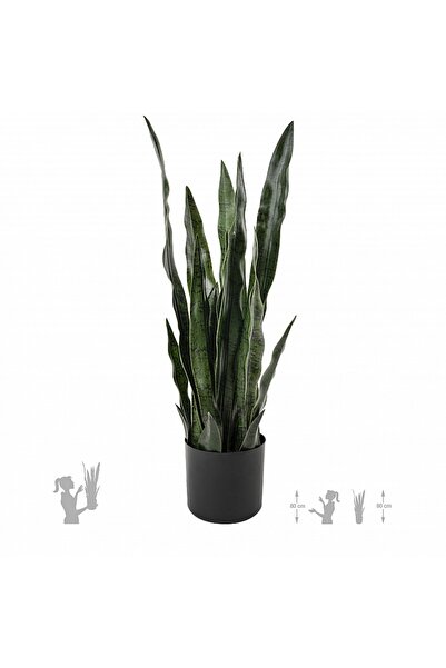 Roberto Rossi Sansevieria artificiala laurentii coral Black cu 20 frunze H70cm