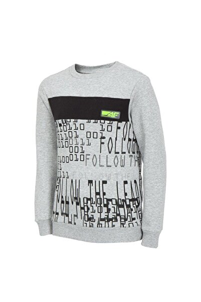 4F Kids Sweatshirt 122