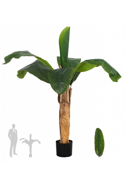 Roberto Rossi Palmier artificial H120cm Banan cu 7 frunze