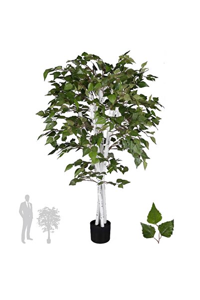 Roberto Rossi Copac artificial H120cm Mesteacan alb cu 1020 frunze