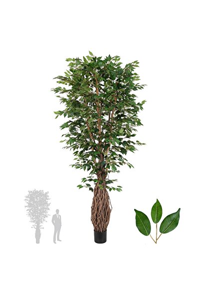 Roberto Rossi Copac artificial H270cm Ficus benjamina cu trunchiuri din lemn ...