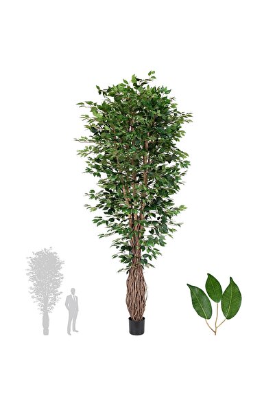 Roberto Rossi Copac artificial H300cm Ficus benjamina cu trunchiuri din lemn ...