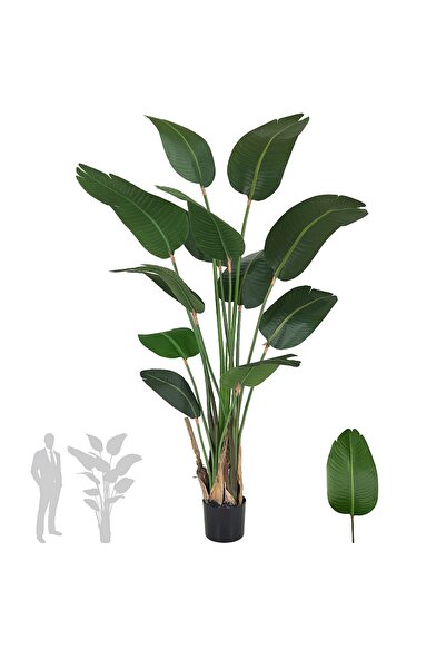 Roberto Rossi Planta artificiala H180cm Strelitzia cu 12 frunze