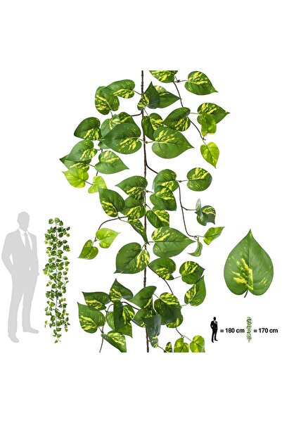 Roberto Rossi Ghirlanda artificiala pothos 170cm. 138 frunze. verde/galben pe...