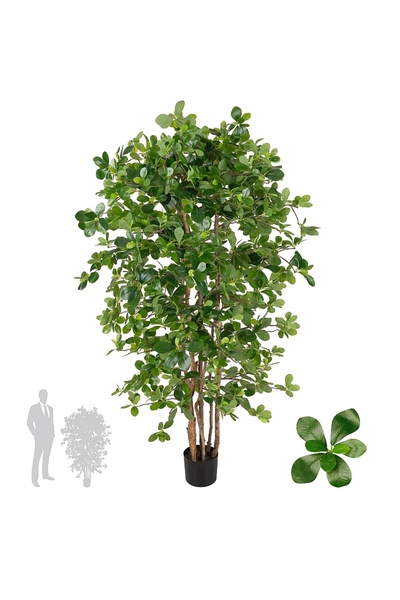 Roberto Rossi Copac artificial H150cm Ficus orient cu 2520 frunze