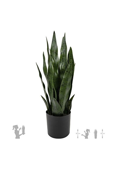 Roberto Rossi Sansevieria artificiala coral black cu 16 frunze H50 cm