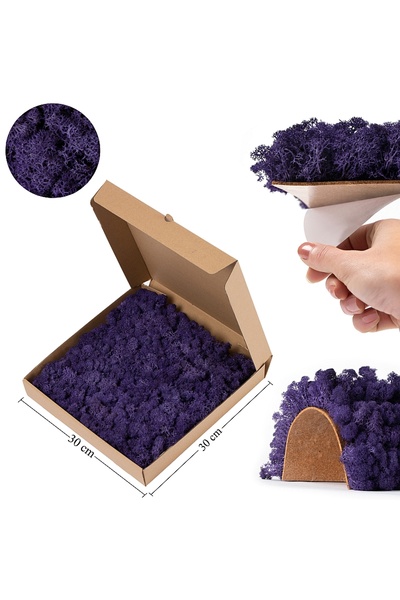 Roberto Rossi Licheni stabilizati panou 30x30 cm violet, gata lipiti RR17