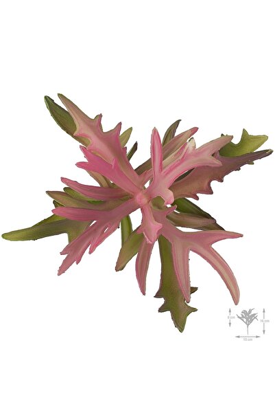 Roberto Rossi Planta artificiala suculenta model80