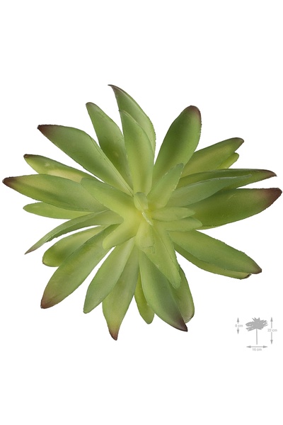 Roberto Rossi Planta artificiala suculenta model39