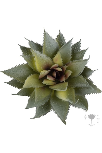 Roberto Rossi Planta artificiala suculenta D9xH7xH16 model3