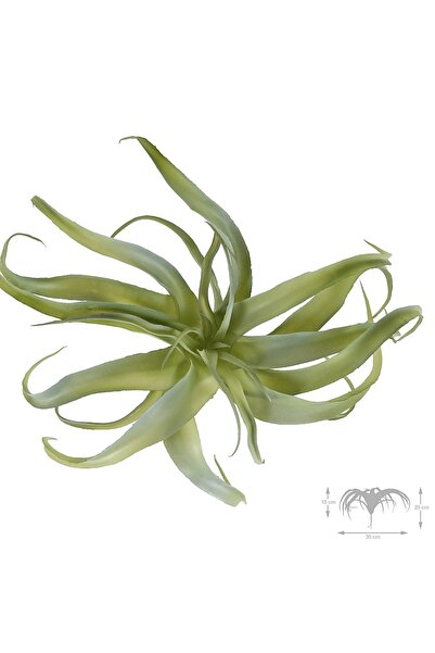 Roberto Rossi Planta artificiala suculenta model6