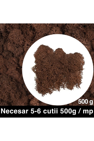 Roberto Rossi Licheni curatati si fara radacina conservati 500g NET, calitate...