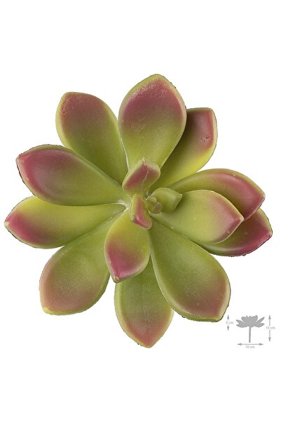 Roberto Rossi Planta artificiala suculenta model76