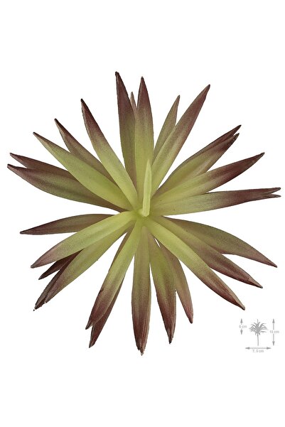 Roberto Rossi Planta artificiala suculenta model62
