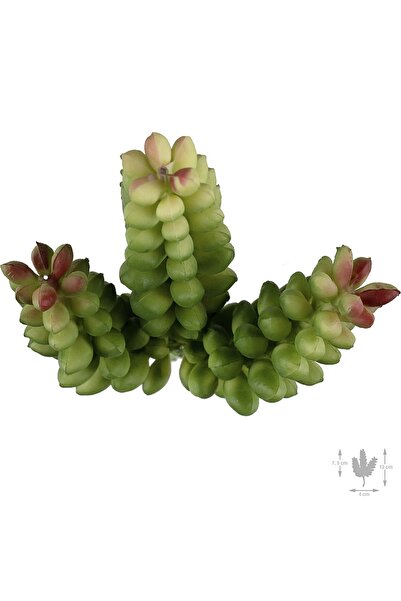 Roberto Rossi Planta artificiala suculenta model73