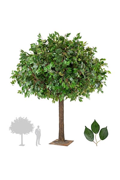 Roberto Rossi Copac artificial H230cm Ficus, coroana D190cm