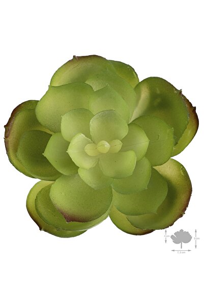 Roberto Rossi Planta artificiala suculenta model8