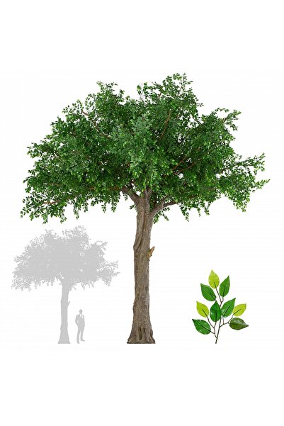 Roberto Rossi Copac artificial H600cm Ficus gigant, coroana D580-610cm