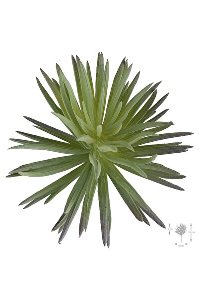 Roberto Rossi Planta artificiala suculenta model23