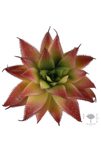 Roberto Rossi Planta artificiala suculenta model44
