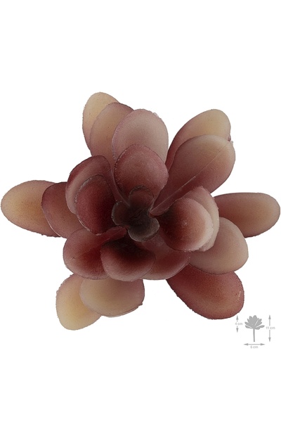 Roberto Rossi Planta artificiala suculenta model91