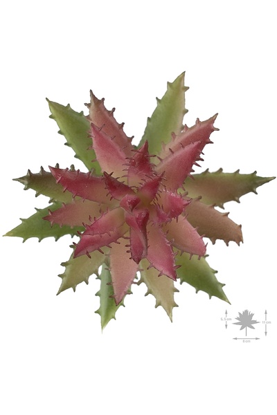 Roberto Rossi Planta artificiala suculenta model79