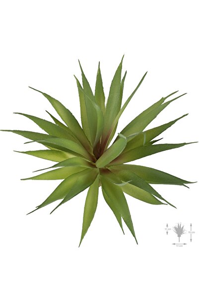 Roberto Rossi Planta artificiala suculenta model21