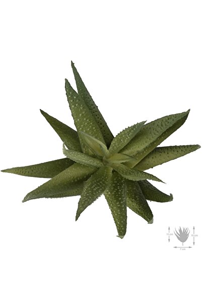 Roberto Rossi Planta artificiala suculenta model48