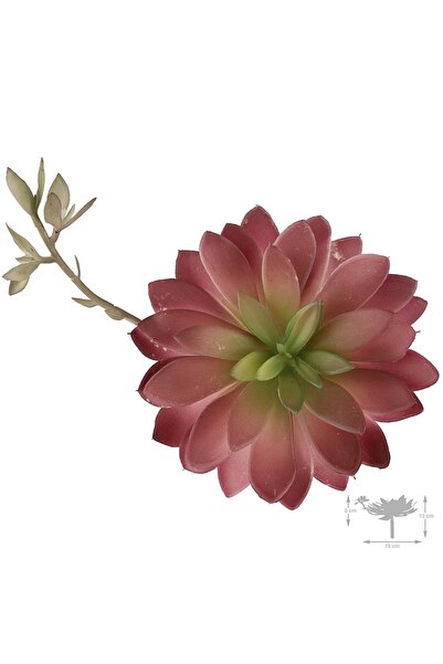 Roberto Rossi Planta artificiala suculenta model5