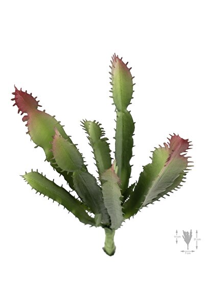 Roberto Rossi Planta artificiala suculenta model50