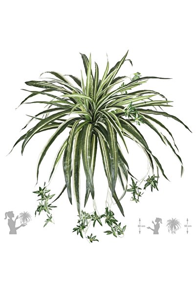 Roberto Rossi Planta artificiala - Spider