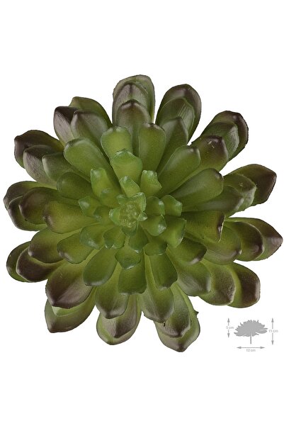 Roberto Rossi Planta artificiala suculenta model71