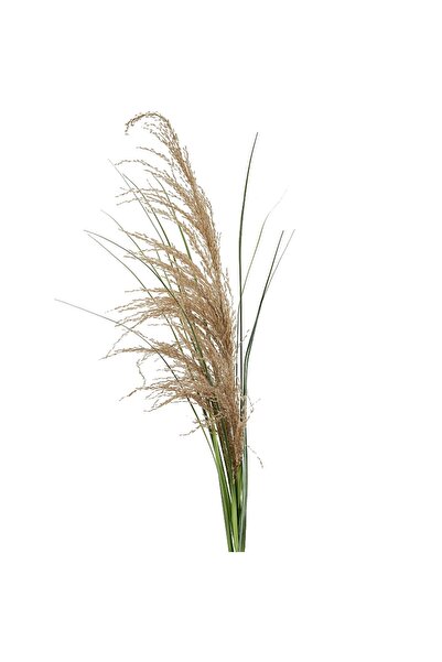 Roberto Rossi Spic iarba artificiala 110 cm cu 1 floare naturala de pampas be...