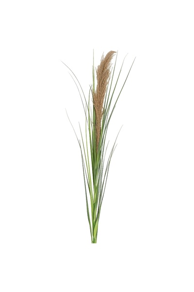 Roberto Rossi Spic iarba artificiala 180 cm cu 1 floare naturala de pampas be...