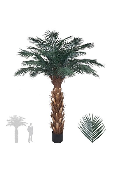 Roberto Rossi Palmier artificial H230cm Phoenix roebelenii cu 30 frunze cu pr...
