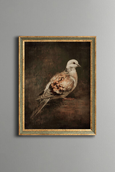 epiqart Pigeon - Vintage Patterned Frame - Slim Model