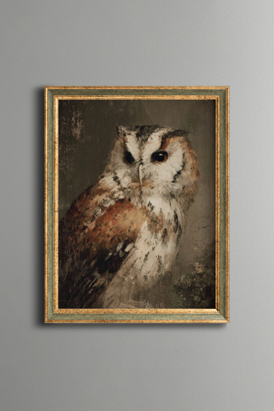 epiqart Owl Portrait - Vintage Patterned Frame - Slim Model