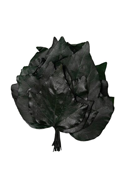 Roberto Rossi Frunze de vita de vie conservate H10-20 cm. verde
