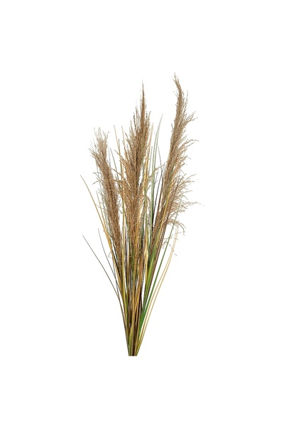 Roberto Rossi Spic iarba artificiala 120 cm cu 3 flori naturala de pampas bej
