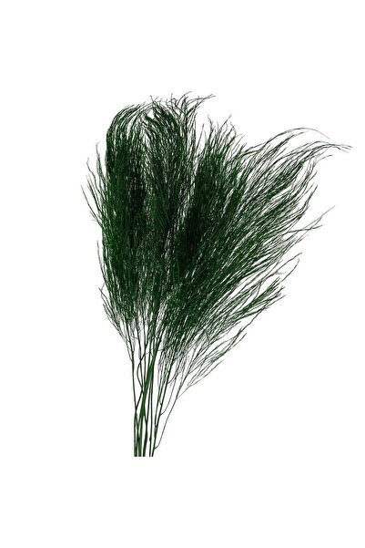 Roberto Rossi Feriga conservata Tiki H40-50 cm verde inchis RR1