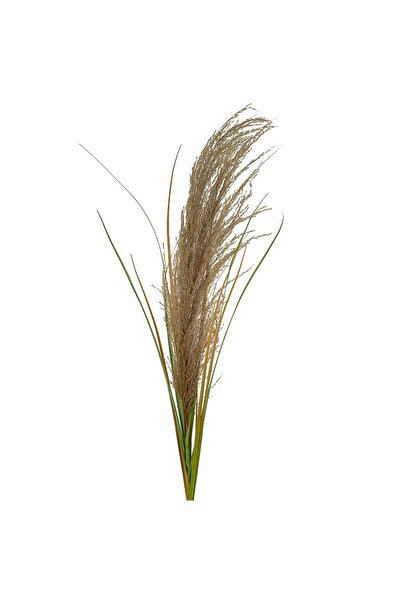 Roberto Rossi Spic iarba artificiala 110 cm cu 1 floare naturala de pampas bej