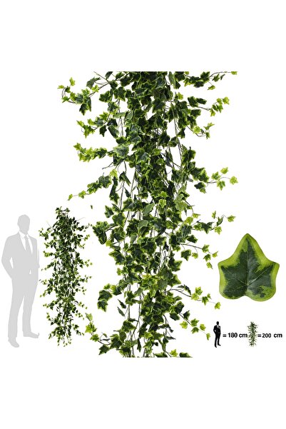 Roberto Rossi Iedera artificiala H200cm cu frunze verde cu galben pentru exte...