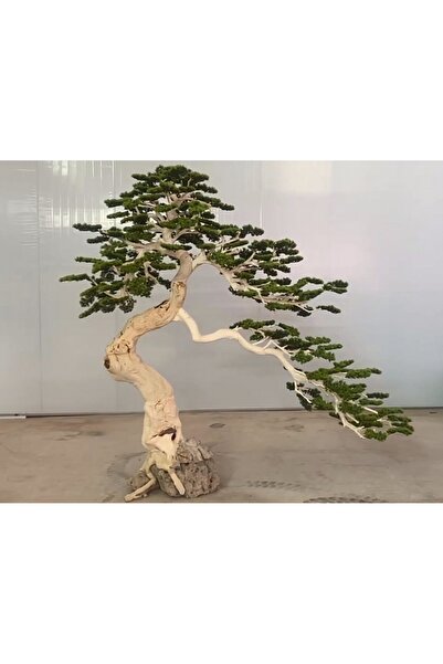 Roberto Rossi Bonsai artificial H250cm Pin cu trunchi din lemn cu frunze verzi